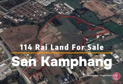 investment situation in Chiang Mai. This 114 Rai piece of plain land in San Kamphaeng area provides the most suitable place for developers as the site is just off Highway 1317. This land is well situated for the development of both commercial and res...