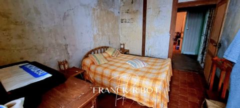 photo no. 6