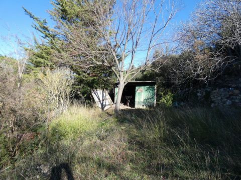 photo no. 3