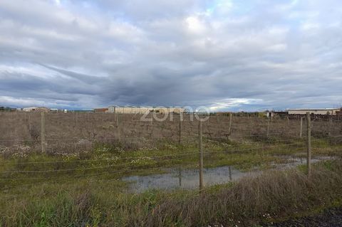 Identification de la propriété : ZMPT573765 Terrain de 0,4750 hectares situé à Estrada da Amoreirinha, Godinha, Campo Maior, district de Portalegre, Alto Alentejo. En plus du potentiel de petits projets agricoles, cette terre est enrichie par la prés...