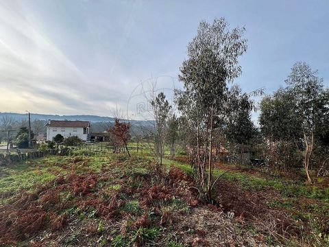 Tierras en venta con un área total de 2.490m² dividido en dos zonas distintas: la mitad de la propiedad se clasifica como una zona de construcción según PDM y la otra mitad en la zona rústica, ideal para actividades agrícolas. Aterriza con buen acces...