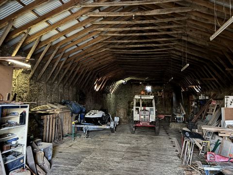 photo no. 2
