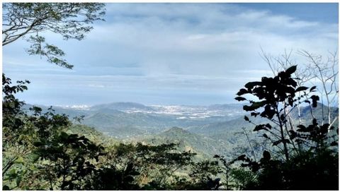 Discover paradise on earth with this excellent lot at 1480 meters above sea level! Located in the ecological sector of Campano, this land offers a majestic view of the beautiful city of Santa Marta and the charming Rodadero. It is the perfect place t...