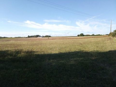 photo no. 2