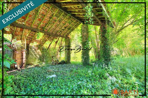 Maison à rénover entièrement sur parc forestier