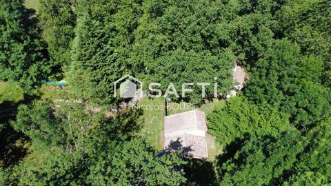 Maison et 2 gites sur terrain de 4,1 hectares clos