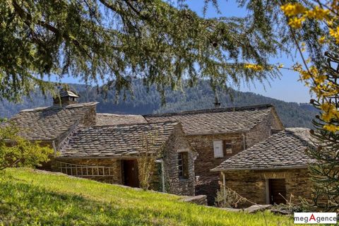 Mas cévenol 6 ch. 13 ha – Collet-de-Dèze