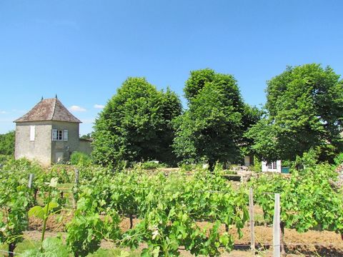 In partnership with Gaby Van Edom - Immorama Entre Deux Mers, ve are delighted to offer this superb vineyard for sale: This vineyard property is located on a hilltop in open countryside, just 20 min. from St. Emilion where the world's fines wines are...