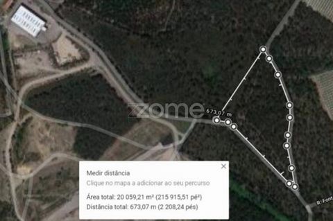ID de la propriété: ZMPT545594 Terrain forestier de 20000 m2 situé à Lugar de Espido à Vilarinho das Cambas. Ce terrain est situé très près de la valeur RIB. Excellent investissement pour l’évaluation forestière ou pour la construction d’une habitati...