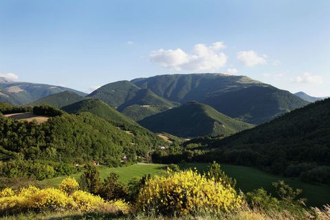 Cet agriturismo avec 4 appartements se trouve sur une colline près de la ville de Cagli et un peu plus haut que la ville. La propriété est entourée par les très beaux sommets de Monte Catria, Nerone et Petrano et plus loin il y a des bois et collines...