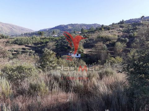 Farm in the Serra de Aldeia Nova, with high potential for Tourism, composed of 2 articles with a total area of 42,614.00m2. Great views - Learn more about this fantastic hillside property between Algodres Ovens, Celorico da Beira and Trancoso.
