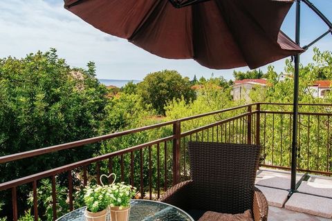 This pleasant apartment can host 3 guests comfortably. Located in the center of Paklenica Riviera in Starigrad, it comes with a private terrace where you can enjoy a lovely cup of coffee with your dear ones. The apartment is surrounded by a forest st...