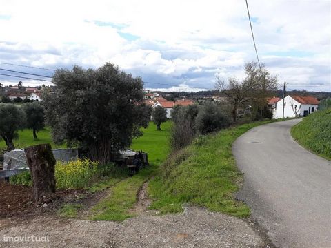 Land in a flat construction area, with unobstructed and pleasant views, inserted in a neighborhood of recent villas. The area of São João do Campo is very pleasant 
