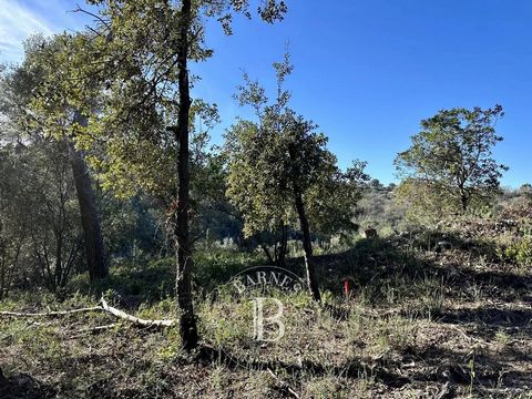 UNIEK - In een kleinschalig woonprogramma van 4 kavels, in een groene omgeving in Roquefort-Les-Pins. Het biedt een oppervlakte van 2.500 m² (26.910 m²) waar u het huis van uw dromen kunt bouwen. Informatie over de risico's waaraan deze woning is blo...