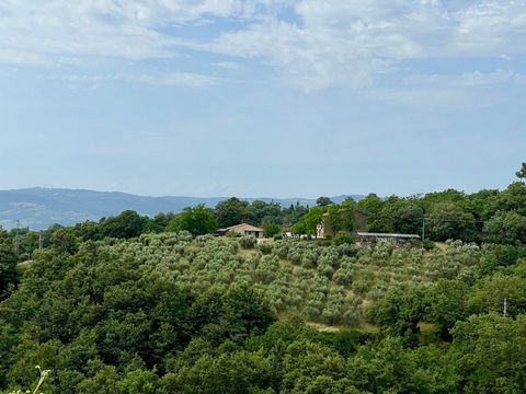 Manciano stone farmhouse for sale 5 minutes from all services we offer an exclusive stone farmhouse with sea view with annex and land. The main farmhouse built in stone in 1914 develops an area of over 220 square meters distributed on several levels ...