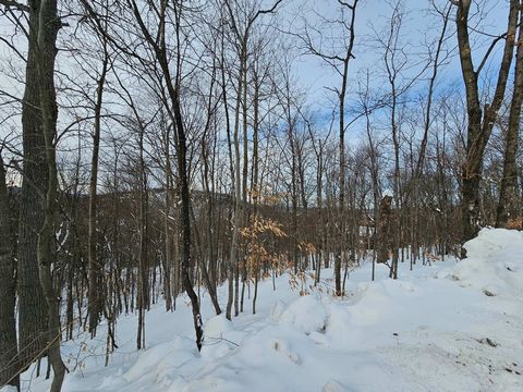 Beautiful sloping wooded and deciduous land with beautiful views of the mountains in the Domaine Chanteclerc. You will be close to all services, beaches, lakes, grocery stores, hospital, schools, arena. You will have access to Lac La Truite by paying...