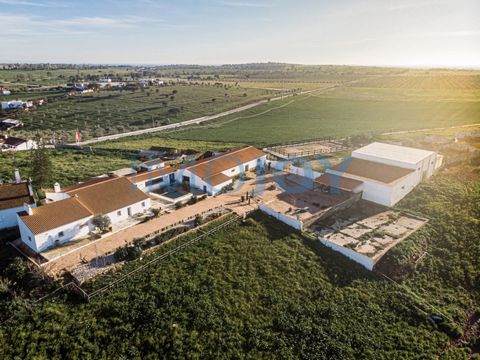 Herdade Vale de Romeira, with 44.5 hectares, is currently dedicated to the breeding of Lusitano horses. It is located 5 minutes from the largest pottery centre in Portugal, São Pedro do Corval, 10 minutes from the city of Reguengos de Monsaraz, 15 mi...