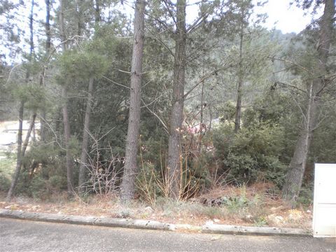    Lot no.28  area 793 m2 A few minutes from the city center, serviced plot (free builders) in a wooded area, quiet and close to shops Contacts: Annie NIVELLE / Hervé CHALAMET