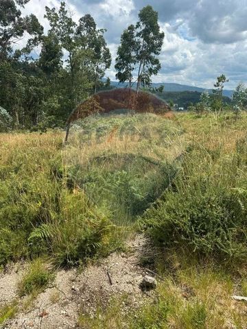 Agricultural and forestry land, with a total area of 6,460 m2. Access to public water and electricity   This land is located in a quiet area of Povoa de Lanhoso   About 1 minute from the Fonte Arcada Monastery.   It has an excellent sun exposure, in ...