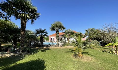 Only 10 minutes from Soumoulou, we invite you to discover this charming contemporary house in Mediterranean style, of about 150 m2 of living space, nestled in an exotic green setting of 2,000 m2. The main level consists of a large and bright living r...