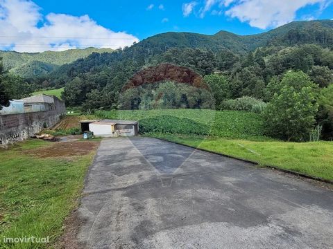 Rustic land, with 4,529 m2 located in the parish of Furnas, with good access, next to the regional road. The property is next to the parish stream. At the moment it is a land for the production of yams.