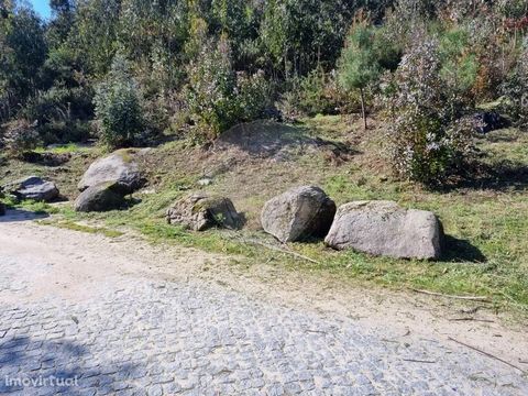 Forest land with 4800 m2 in Boelhe, Penafiel.   It has many eucalyptus trees being able to sell and monetize.   Ideal for exploration purposes and with great sun exposure. The Penafiel chamber was asked to amend the MDP for construction. Being for ve...