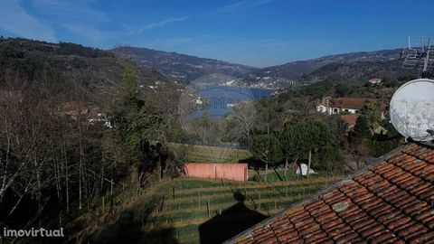 Moradia T3 com um pequeno quinta no centro da aldeia de Boassas no concelho de Cinfães, com vista para o rio Douro e a albufeira da Pala. Localiza-se a 5 minutos do cais náutico de Porto Antigo e a 10 minutos da estação de Mosteirô na linha do Douro....