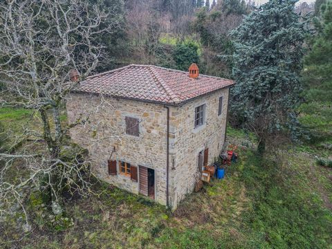 This rustico is located in a place that is a tourist attraction and therefore highly attractive. It is surrounded by a lush, green landscape and exclusive to this home is a hectare of land, richly planted with chestnut trees, which create a cozy and ...