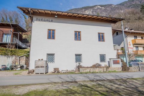 For sale is a unique property in Gargazon: a charming, detached house built to a high standard consisting of a fully functional distillery, a spacious service apartment and an adjoining vineyard of approx. 1,700 m². The property is surrounded by wood...