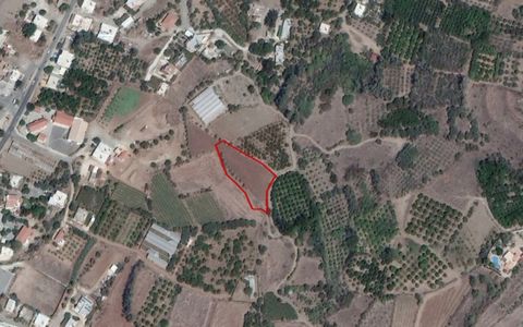 This plot is a field Agia Marina Chrysochous, Paphos. The plot has an area of 2,435sqm, has an irregular shape with a flat surface, and is landlocked. The immediate area comprises residential developments as well as some undeveloped parcels of land. ...