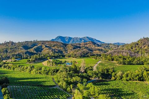Nestled within the prestigious Knights Valley AVA, the Bellisimo Vineyard Estate beckons with its unparalleled beauty and boundless potential. Spanning 154 +/- acres on two legal parcels, 8320 and 8322 Franz Valley offers a harmonious blend of tranqu...