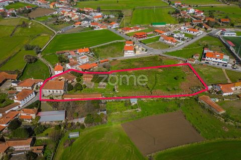 Identificação do imóvel: ZMPT565396 Farm T11 with a total area of 6918 m2 in Vila Cova - Barcelos. There are 2 articles, 1 urban with a total area of 2,438 m2 containing housing and 1 rustic with a total area of 4,480 m2. Features and attributes: - 1...