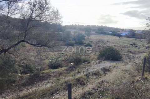 Identificação do imóvel: ZMPT562690 Discover your haven in the Algarve! Rustic land in Tunes, with a generous 1480m2, awaits you. The perfect opportunity to make your dreams come true. Nature, space, and an irresistible price. Don't miss the chance t...