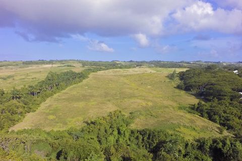 Located in Sion Hill. Gully Ridge, is a twenty-acre residential neighbourhood set high on a ridge overlooking the West Coast of Barbados. With planning permission for the subdivision of 24 lots this is an ideal location to build your dream home on lo...