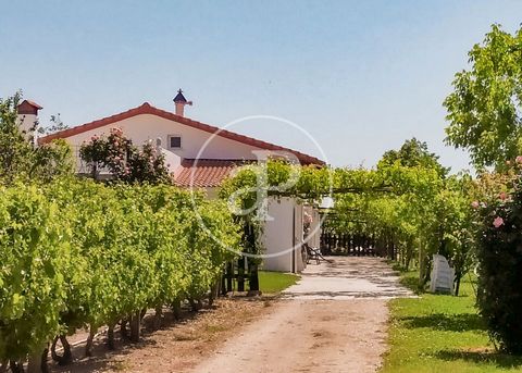 PROPERTY WITH HOUSE, SWIMMING POOL AND LARGE PLOT OF LAND AProperties Real Estate presents a beautiful rustic finca of almost 7.000 m², ideal to enjoy the country life close to the city. The size of the property allows to have a house of 474 m², a co...