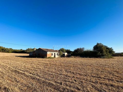 Farm with 20.000m2 na Bordeira, Aljezur, Faro Located in the heart of the Costa Vicentina Natural Park and just a few kilometers from Aljezur and the beaches of Vale Figueiras, Carrapateira and Amado (considered some of the best beaches in Portugal),...