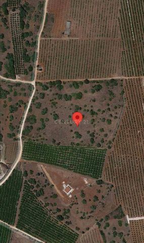 Terrain plat de 14 700 m2, situé à Quebrada, à Algoz. Situé sur un point élevé avec vue panoramique. Idéal pour ceux qui recherchent un espace pour l'agriculture au calme, à une courte distance du village d'Algoz.
