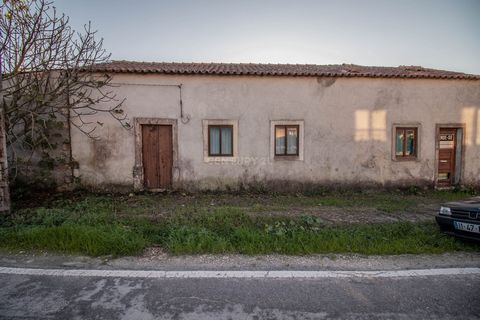 Traditional 2 bedroom house on a plot of land with about 2763.3 m2, in Lavegadas, in the parish of Seixo. The ground floor house is divided into 2 bedrooms, 1 living room, 1 dining room, 1 kitchen, 1 kitchen support room, 1 traditional wood oven and ...