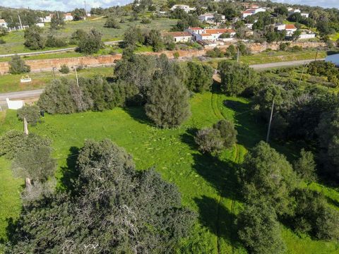 Rustic land for agriculture and arable farming, with flat soil. The land has excellent access and is about 10 minutes' drive from Silves. The land has a well, electricity and is partially fenced. Come and visit us. We work with excellence throughout ...