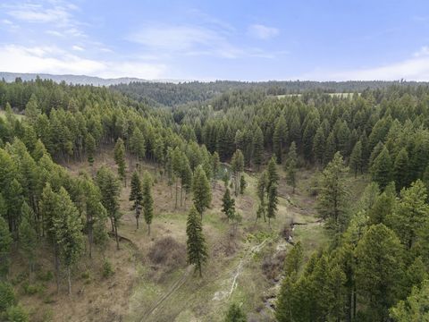 Seller Financing! Hatke Place Ranch is an active ranch in North Central Idaho just above the breaks of the Salmon River. The 165 acres of rolling topography offers the opportunity to produce grass hay, alfalfa or dryland farm crops. It also offers ex...