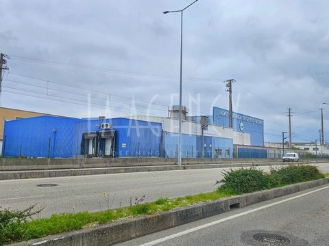 Warehouses at the Fishing Port of Gafanha da Nazaré: Two storage spaces are available for sale, strategically located in the Gafanha da Nazaré Fishing Port, with easy access to the A25 and A1 motorways, providing an excellent opportunity for investor...
