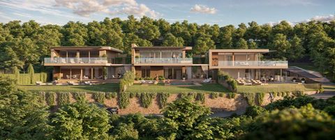 Open your eyes to the charm of Villa Limone, an oasis of peace and luxury located in one of Bardolino’s most renowned areas. This modern architectural jewel, currently under construction, promises to be an exclusive retreat for those who want a secon...