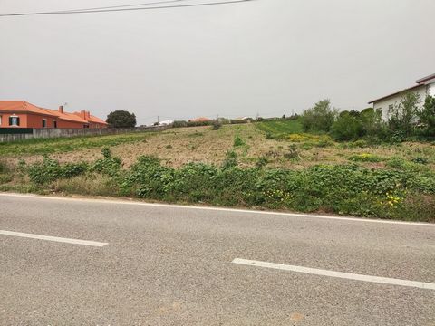Fantastic urban plot of 3645m2 with construction feasibility! The land is within the dispersed and linear building areas of the Lourinhã PDM, with a maximum construction area of 300m2 and a maximum height of 7 meters. You can therefore build your dre...
