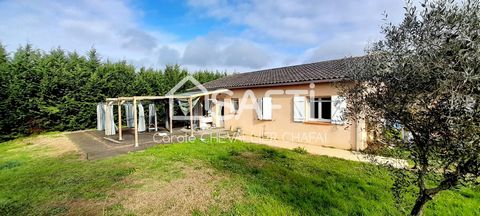 Located in Villebrumier (82370), this charming house offers a peaceful setting surrounded by nature, near a school and served by bus lines. Its vast plot of 3000 m² houses a swimming pool, a vegetable garden, an outdoor kitchen with barbecue, a doubl...