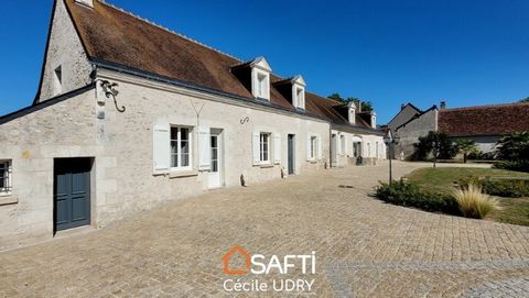 Come and discover this magnificent restored farmhouse, located in a small quiet village 10 minutes from Bléré. The main house, 415 m² on the ground, is a pretty residence which will seduce you with its generous volumes, offering a comfortable living ...
