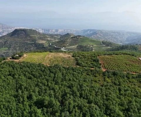Multiple plots of lands are for sale in Throfari Xilokastro. The plots are located in a wonderful location overlooking the entire Corinthian Gulf. They are right next to the unique protected oak tree Forest of Moggostos. This oak forest is an attract...