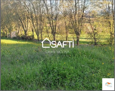 Located in Puylaurens, this 3800 m² plot of land offers an ideal location in a popular area of ??the city. Close to amenities and points of interest, it promises an appreciable quality of life. With its generous surface area, this land offers numerou...