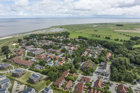 Willkommen am Hollwert 33e im Ferienhaus Loje, ihrem behaglichen zu Hause in Dangast. Das Haus liegt zurückgebaut in Ruhiglage und hat 2 eigene PKW-Stellplätze. Durch den Eingangsbereich mit Zugang zum Gäste-WC und Aufgang zu den oberen Etagen gelang...