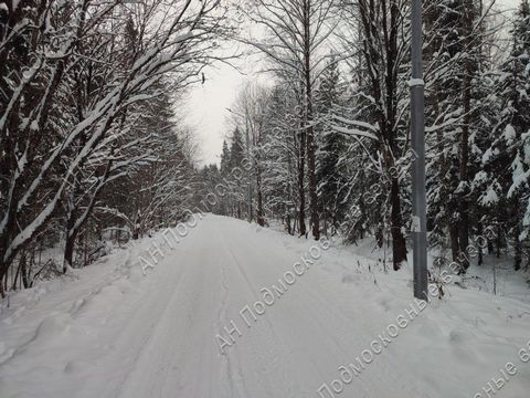 Киевское шоссе 60 км от МКАД, деревня Мачихино, СНТ Полесье-2, в районе квартал № 142. Участок 6.05 соток./r/n Участок 6.05 соток / СНТ / земли населенных пунктов / дачный поселок (с/т). Коммуникации - электричество 10 кВт. Подъездная дорога: асфальт...