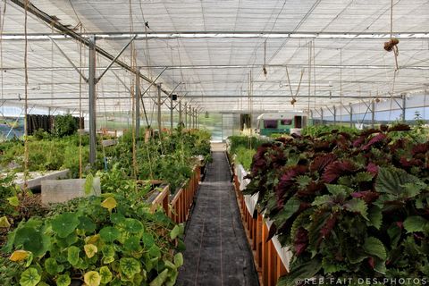 photo no. 4